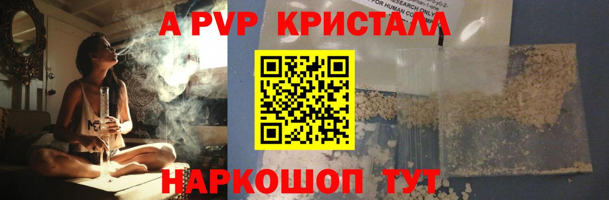 Alfa_PVP СК КРИС Сосновый Бор