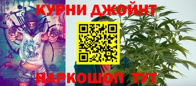 гидра Новокубанск