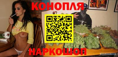 гидра Новокубанск